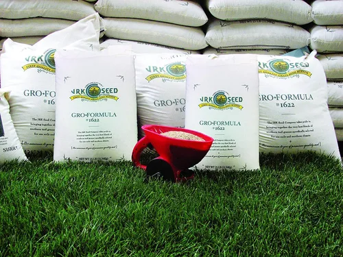 Miniatura 2 de JRK Super Salt Tolerant - Mezcla de semillas de pasto - 3 libras