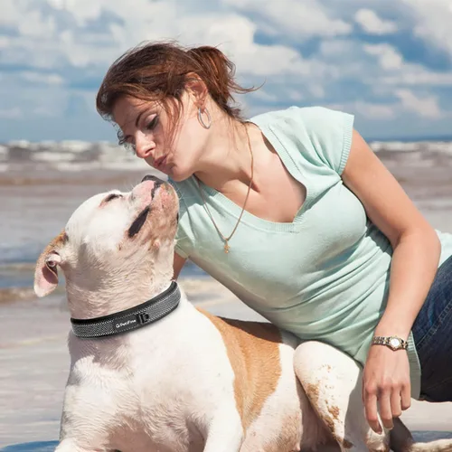 Miniatura 7 de Collares para perros PetiFine para perros medianos, acolchados de neopreno y ajustables, collares para mascotas reflectantes anchos y resistentes
