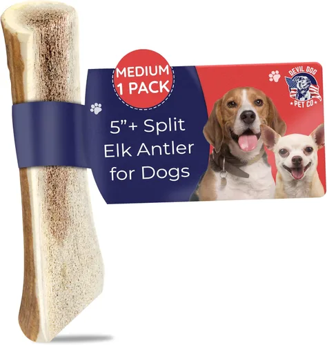 Miniatura 22 de Devil Dog Pet Co. Cornamentas de alce para perros, extra grandes 17,8 cm+, 1 paquete, grado A, masticable duradero para masticadores agresivos, asta