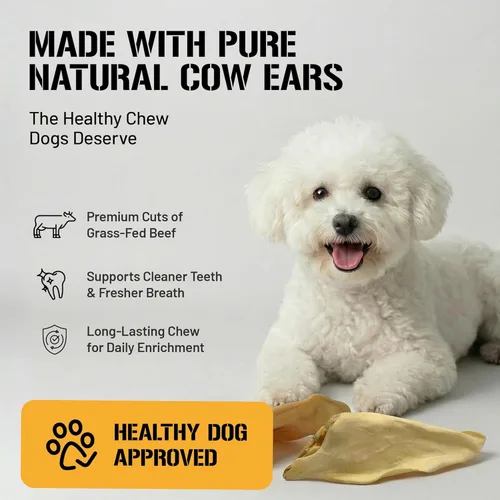Miniatura 4 de Dog Chits Orejas de vaca para perros – Golosinas para perros totalmente naturales con orejas de vaca y masticables de entrenamiento – Alto
