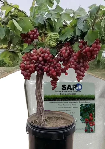 Miniatura 2 de Soil Vigor - Cristales de almacenamiento de agua – Corte el riego en un 50% Hidrogel de polímero súper absorbente para céspedes, jardines