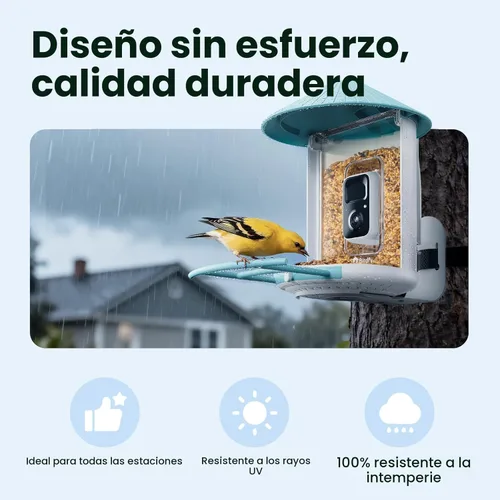 Miniatura 4 de NETVUE por Birdfy Alimentador Inteligente para Pájaros con Cámara AI Alimentado por Energía Solar, Observación de Aves Silvestres Inalámbrica de Azul