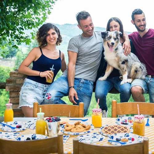 Miniatura 7 de durony 72 piezas de suministros de fiesta de cumpleaños con estampado de patas de perro, incluyen 32 platos, 24 servilletas y 16 tenedores, huellas