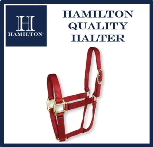Miniatura 4 de Hamilton Quality Horse Halter, nailon de triple capa de 1 pulgada, anilla o burro estándar, 300-500 libras, rojo Rojo (Red Brick)