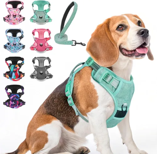 Miniatura 11 de BEAUTYZOO Arnés para perro sin tirones pequeño, juego de arnés y correa ajustable para perro - Fácil de usar con 3 hebillas/mango de control, arnés