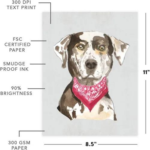 Miniatura 17 de Andaz Press Póster impreso para pared de perro, 8.5 x 11 pulgadas, Bulldog inglés con gafas negras, 1 paquete, regalo de cumpleaños de Navidad, sin