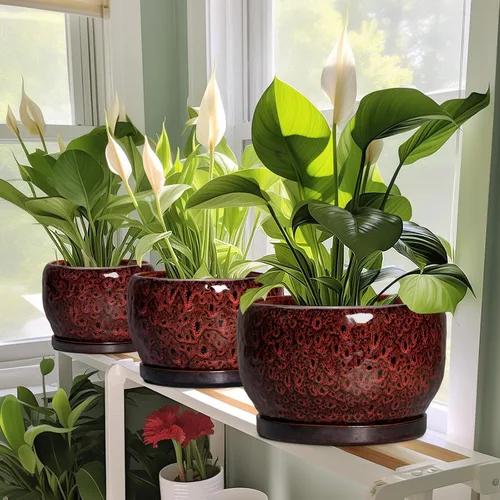 Miniatura 6 de SQOWL Maceta de cerámica para plantas - Maceta de cerámica de 6 pulgadas para interiores y exteriores, maceta decorativa para plantas con orificio