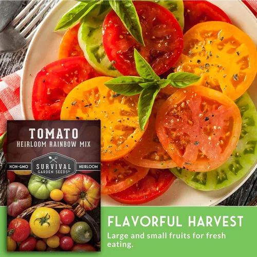 Miniatura 4 de Heirloom Rainbow Mix - Semillas de tomate para plantar, mezcla de semillas coloridas de variedades de reliquia, tomates de jardín de alto