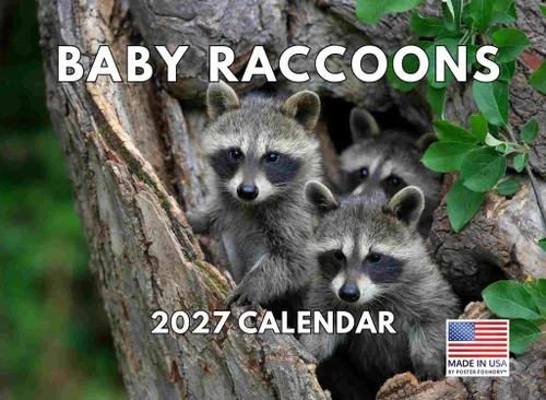 Miniatura 121 de Calendario alpaca 2026, calendario mensual de pared de 12 meses Hecho en Estados Unidos.