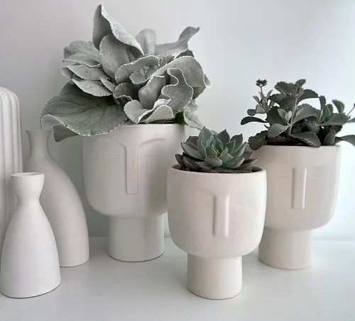 Miniatura 7 de Macetas para plantas de interior – Macetas altas de cerámica de riego automático de 7 pulgadas, maceta blanca mate con drenaje y maceta