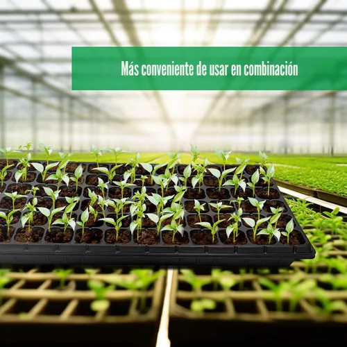 Miniatura 3 de RooTrimmer 10 paquetes de bandejas de inicio de semillas 1020 y 10 piezas de bandejas de 72 celdas para semilleros, bandeja de semilleros