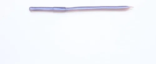 Zoom Swamp Crawler-Pack de 25