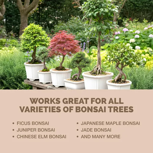 Miniatura 6 de Fertilizante para Bonsái, alimento líquido para plantas para un crecimiento saludable y raíces fuertes en todos los árboles de bonsái, de TPS Plant