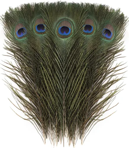 Larryhot Plumas de pavo real artesanal a granel – 40 plumas de 18 a 20 pulgadas para manualidades, bodas, hogar y decoraciones de fiesta de