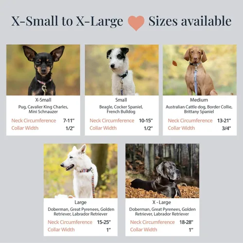 Miniatura 32 de Lucky Love Dog - Collar de perro ajustable con hebilla de fácil clic para los grandes, duradero y cómodo para perros machos y hembras, collar
