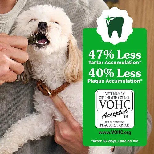 Miniatura 6 de Greenies Golosinas dentales naturales para perros adultos recomendadas por veterinarios, tamaño pequeño, sabor original, paquete de 3 onzas, 5