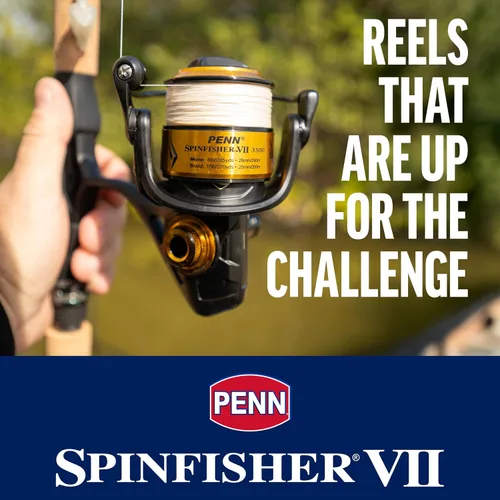 Miniatura 2 de Penn Spinfisher VII - Combo de carrete giratorio y caña de pescar