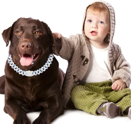 Miniatura 4 de Collar de cadena para perro, collar cubano de diamante con purpurina, collar de cadena de metal para caminar con diseño de hebilla segura