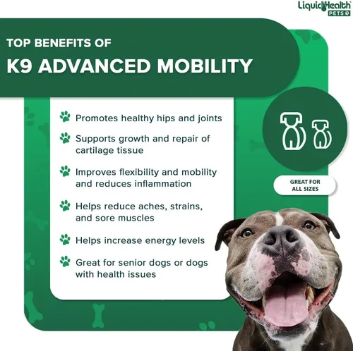 Miniatura 4 de LIQUIDHEALTH Pets K9 Nivel de glucosamina líquida 5000 para perros grandes con condroitina, MSM, Boswellia Serrata – Vitaminas para la salud
