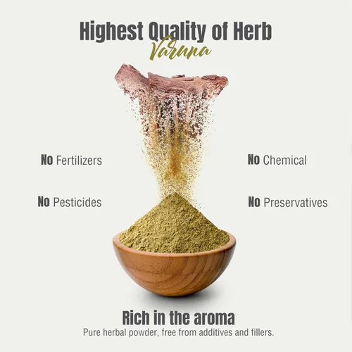 Miniatura 9 de HerbsForever Varuna Powder - Crataeva Nurvala - Salud de la próstata - Apoya la salud prostática, riñones, vesícula biliar y tracto urinario - Sin