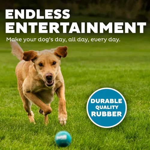 Miniatura 4 de Outward Hound Squeaker Ballz - Pelotas de tenis chirriantes para perros de menos de 50 libras, juguete interactivo para perros para buscar y Bolas