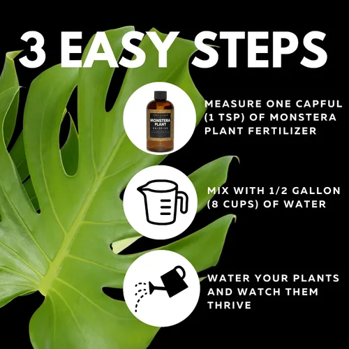 Miniatura 7 de Lush Leaf Alimento para plantas (Gardenia)