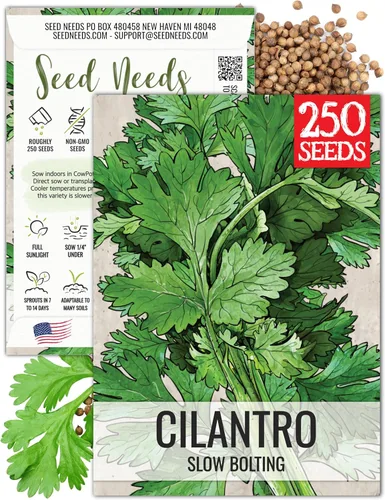 Miniatura 17 de Seed Needs Semillas de culantro para plantar cilantro mexicano, reliquia sin OMG y hierbas culinarias/medicinales no tratadas para cultivar un