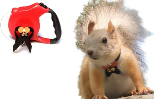 Miniatura 10 de Correa de cuerda de tracción de ardilla, cuerda de cadena antimordeduras, arnés para caminar pequeños animales con correa extensible para hámster
