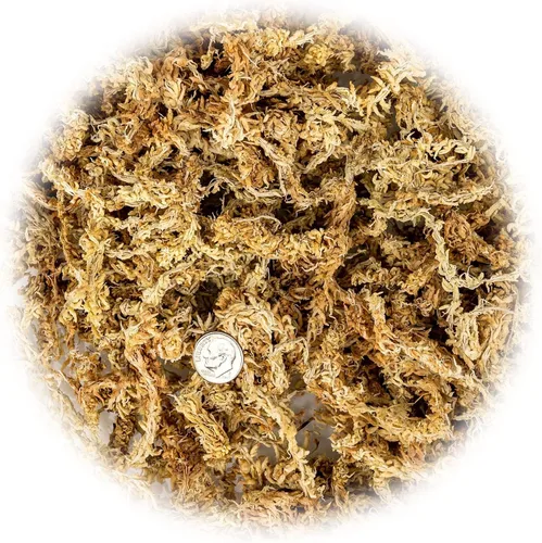 Miniatura 2 de Musgo Sphagnum Premium de Nueva Zelanda por Gardenera - Musgo Sphagnum Orgánico de Fibra Larga Mezclado a Mano para Orquídeas - 4 Cuartos