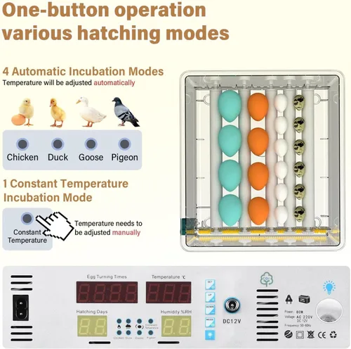 Miniatura 2 de Incubadora inteligente de 120 huevos, control de temperatura y humedad, pantalla LED, vela integrada, llenado de agua externo y potencia dual
