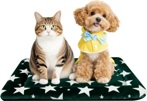 Miniatura 62 de Alfombrilla para Cama de Perro – Almohadilla de Perrera Suave y Cómoda para Jaula – Cama y Almohadilla Duradera para Perros y Gatos – Ideal para Gris