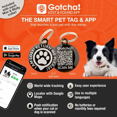 Miniatura 6 de Max & Molly Urban Pets Smart ID - Collar para perro con etiqueta de seguridad QR Gotcha! para mascotas y perfil de mascota personalizado, neopreno