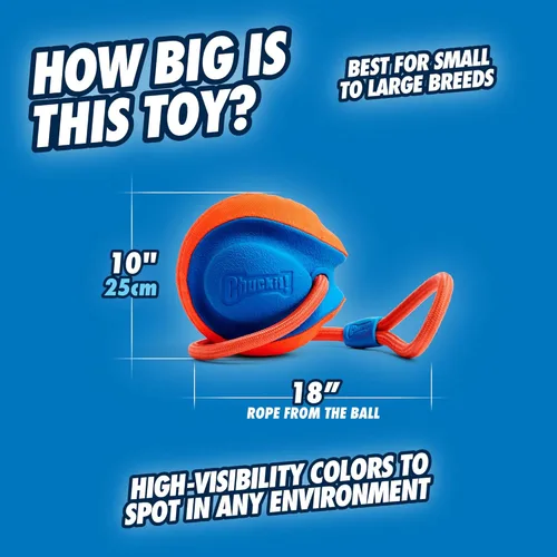 Miniatura 3 de Chuckit! Juguete de cuerda para perros - Bola en cuerda para buscar y tirar para perros - Construcción duradera de goma EVA - Diámetro de 5.5