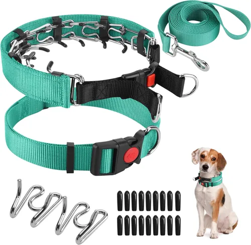 Miniatura 13 de Collar de entrenamiento de puntas con puntas cómodas y hebilla de cierre rápido – Collar de pellizco para perro con cubierta de nailon