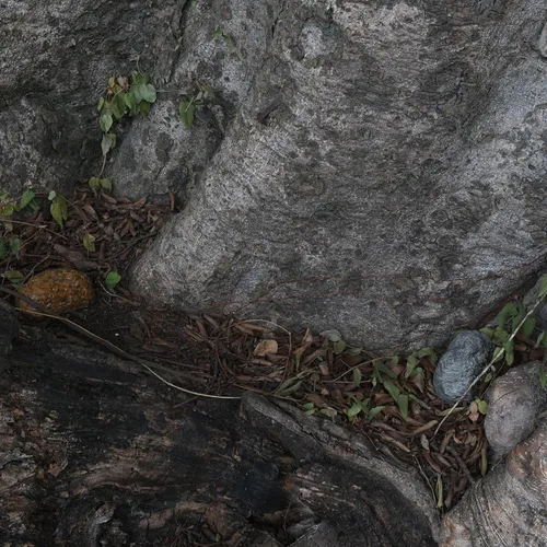 Miniatura 6 de Ocultador de llaves de repuesto – Oculta fácilmente una llave en el exterior con este diseño de piedra de aspecto real, perfecto como ocultador