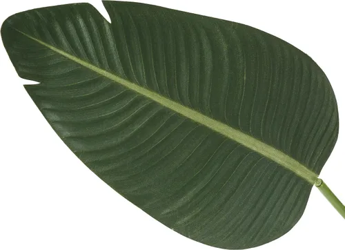 Miniatura 4 de Monarch Specialties I 9570 - Planta artificial, 60 pulgadas de alto, árbol de ave del paraíso, interior, falsa, falsa, piso, vegetación, maceta