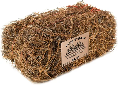 Home and Country USA Paca de paja de pino prémium para paisajismo, material orgánico hecho de auténticas agujas de pino, ideal para jardinería,