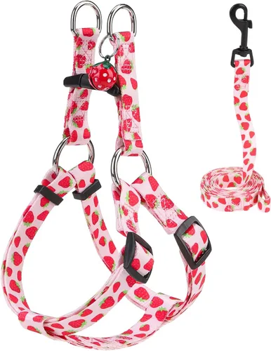 Miniatura 11 de BEAUTYZOO Juego de arnés y correa para perro pequeño sin tirones, arnés de nailon ligero para cuello y pecho ajustable para perros, niñas y niños