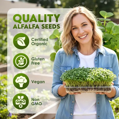 Miniatura 2 de Nature Jims Sprouts Semillas de alfalfa – Kit de cultivo de brotes orgánicos sin OMG para plantar – Bolsa resellable premium para semillas frescas