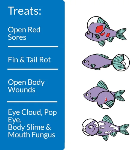 Miniatura 2 de API MELAFIX - Remedio para infecciones bacterianas de peces de agua dulce, botella de 4 onzas