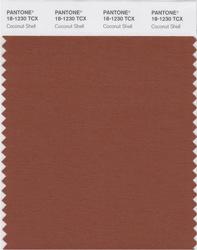 Miniatura 23 de PANTONE Tarjeta de muestra de color inteligente 18-1314X, bellota