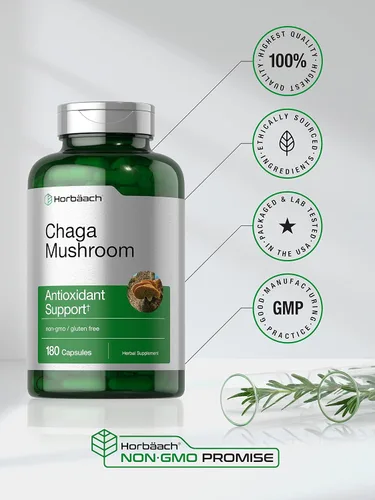 Miniatura 5 de Horbäach Cápsulas de hongos Chaga 180 píldoras Suplemento de extracto sin OMG y sin gluten