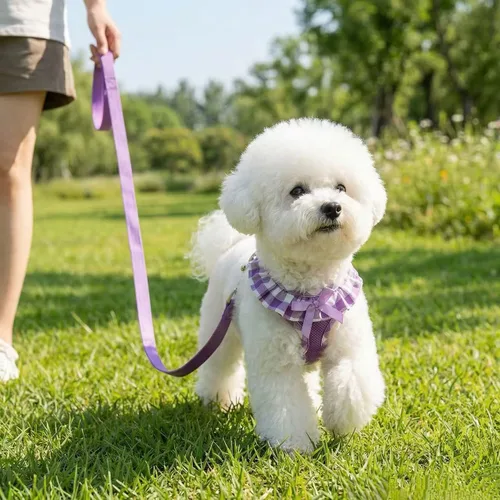 Miniatura 5 de SuperBuddy Arnés para perro de malla suave mejorado, arneses súper transpirables y ligeros para mascotas, para cachorros, perros al aire libre