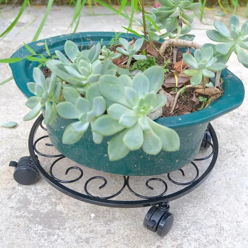 Miniatura 7 de Paquete de 6 soportes de metal para plantas con ruedas de 12 pulgadas con ruedas, soporte de hierro forjado resistente, rodillos para plantas