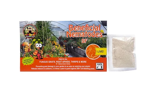 Natures Good Guys - Nematodos beneficiosos Steinernema Feltiae - SF (5 millones)