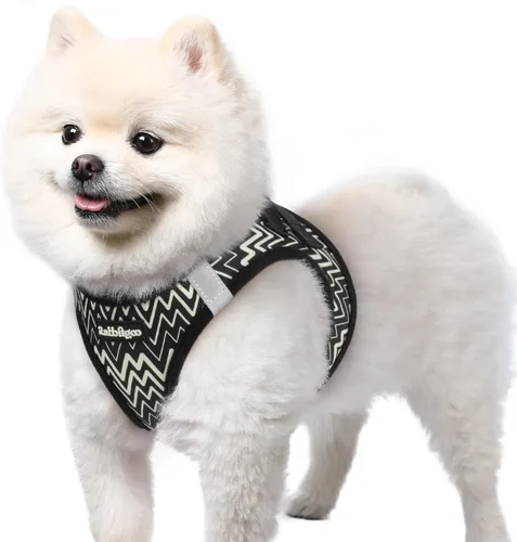 Miniatura 104 de rabbitgoo Arnés para perro pequeño, chaleco de malla suave para cachorros con hebilla de seguridad, arnés reflectante transpirable para mascotas
