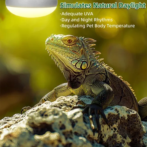 Miniatura 2 de DaToo Lámpara de calor de reptiles de 100 W, anfibios, bombilla de luz UVA, bombillas de luz diurna para lagartos, tortugas dragón barbudas