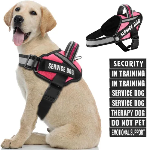 Miniatura 19 de in Training Service - Juego de arnés y parches para perro, con 10 parches para perros, chaleco reflectante con asa para perros pequeños, medianos