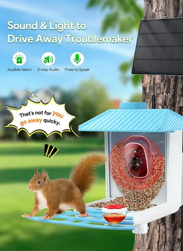 Miniatura 9 de Osoeri Comedero para pájaros con cámara, alimentador solar inteligente para pájaros con identificación de IA, video de captura automática HD de Azul
