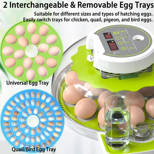 Miniatura 2 de Incubadora de huevos de 18/60 con pantalla de humedad, incubadoras para incubar huevos, vela de huevos, girador automático de huevos, incubadora